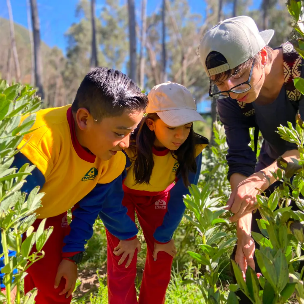 Jóvenes del Instituto INEPE conociendo e identificando los diversos tipos de plantas que hay en nuestra entorno y la utilidad de las mismas.